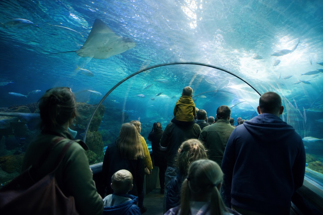Inside SEA LIFE Brighton, the world's oldest aquarium